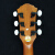 赤绵（Kapok）41寸标准民谣木ギター云杉の実木パネル面の単木ギターケース単板アコスティトラックに付属品を送ります。支払い五段电箱版SD-222 C