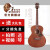 サンマルコ楽器(ST.MARK'S)サンマルコギター初心者シングルボードアコスティッチCL 120/126/160 CL 120レトロカラー40インチ