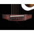 サンマルコ楽器(ST.MARK'S)サンマルコGospel 66周年記念モデル\単板アコスティトラックD 70ゴシック雲杉パネルW 950ピックアップ