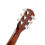 ファンタFender CD-60 Sシリーズ原音シングルボード民謡木ギターの円角桃芯木背側板トウヒ41インチNAT原木色