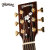 Trumon楚門ギター単板民謡アコースティックギターSakua-900 JF落桜雲杉カカンパイナップルJF型は角が欠けています。