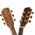 Nightwish拉维斯N 8単板アコスキー面シングルウッドギター点灯41/40インチギター初心者楽器ラヴィスN 8イングマン雲杉単板40寸