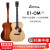 イーストマンEastman-E 1 D-FG E 1 OM-FGライト限定モデルE 1 m-FG