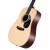 サガSAGA単板アコスキーティップ面シングルギター入門初心者楽器スギ原木色41寸角SF 700